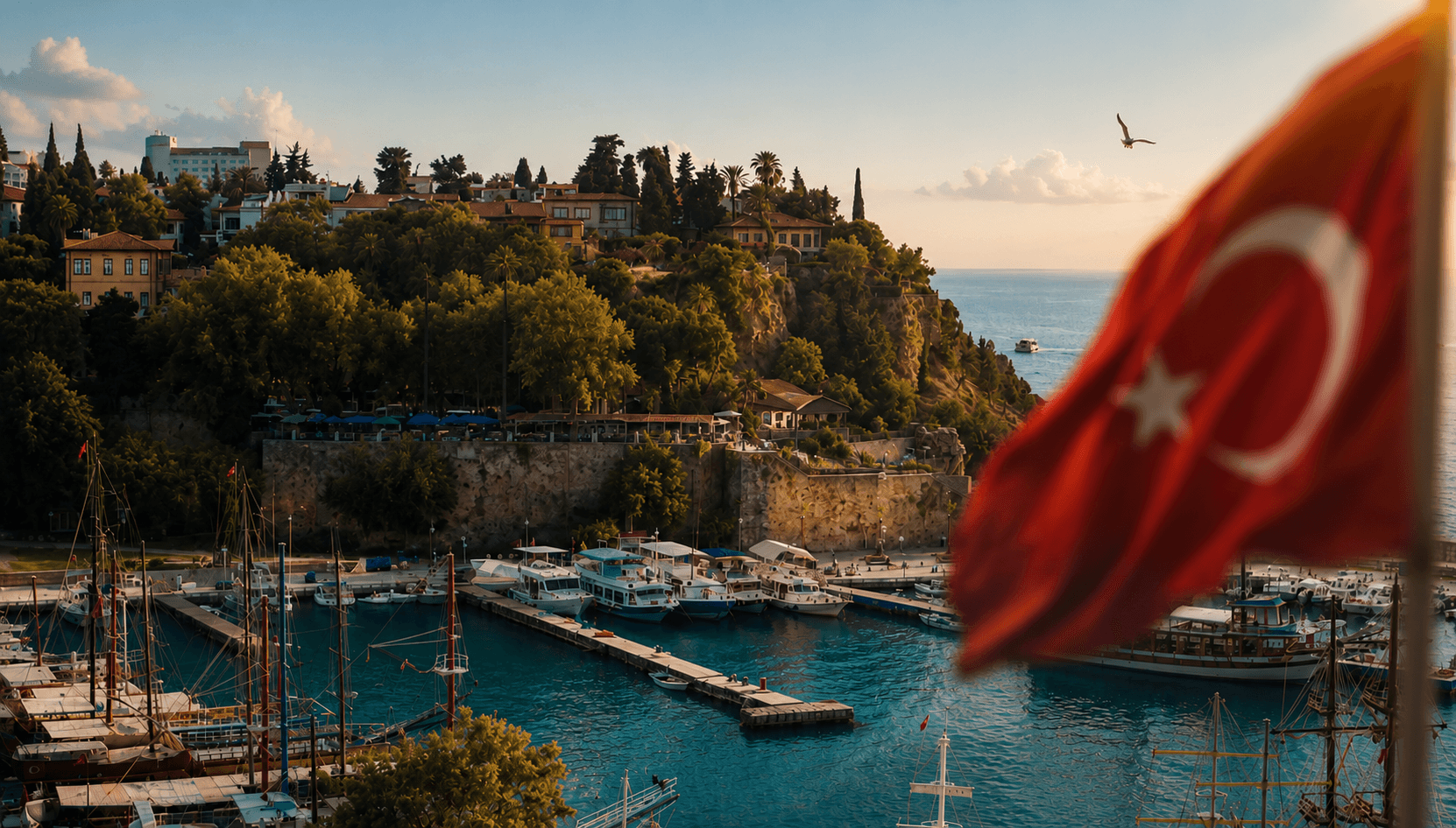 تركيا